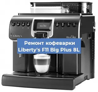 Чистка кофемашины Liberty's F11 Big Plus 8L от кофейных масел в Москве